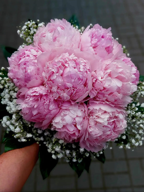 kytice — 19.09.2025 — #40