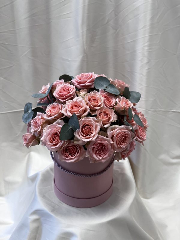 Box Trsových ruží 