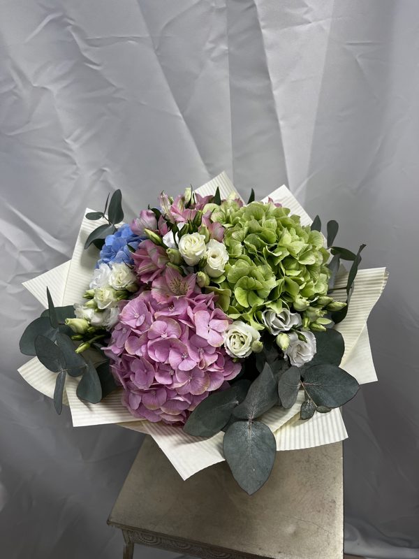 Obrázok produktu: Pastelové horténzie 