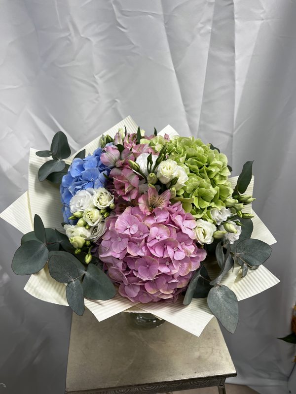 Pastelové horténzie 